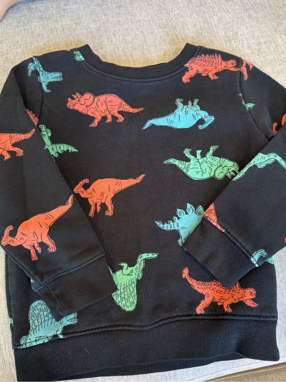 Dino Sweater